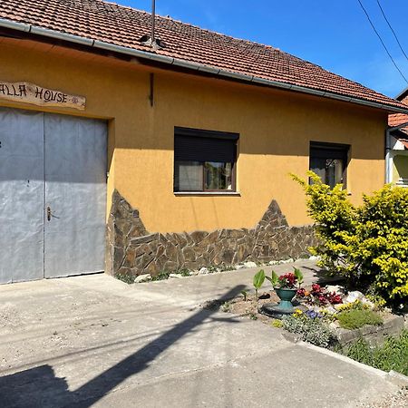 Bed and Breakfast Balla House Tărcaia Exterior foto