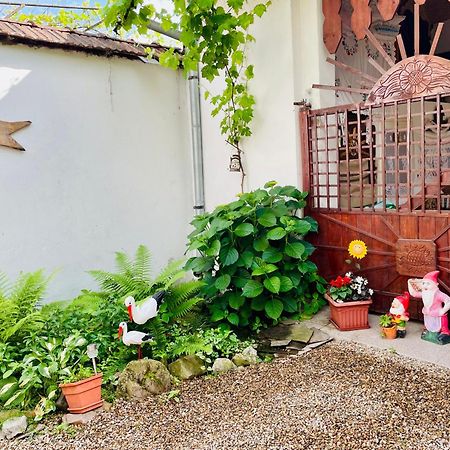 Bed and Breakfast Balla House Tărcaia Exterior foto