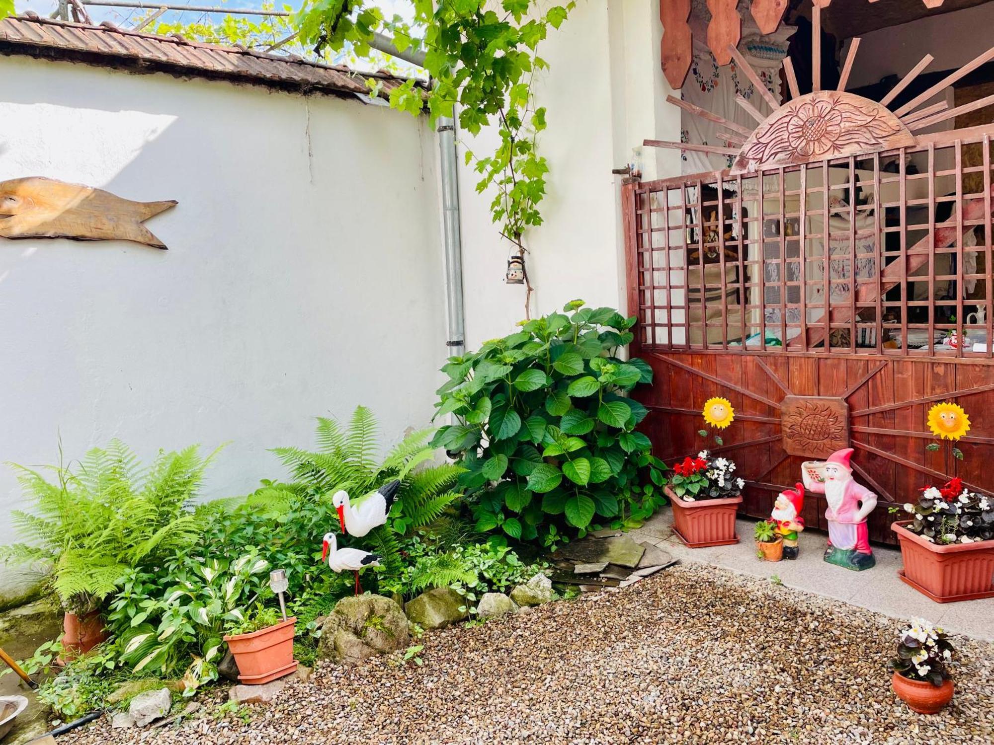 Bed and Breakfast Balla House Tărcaia Exterior foto