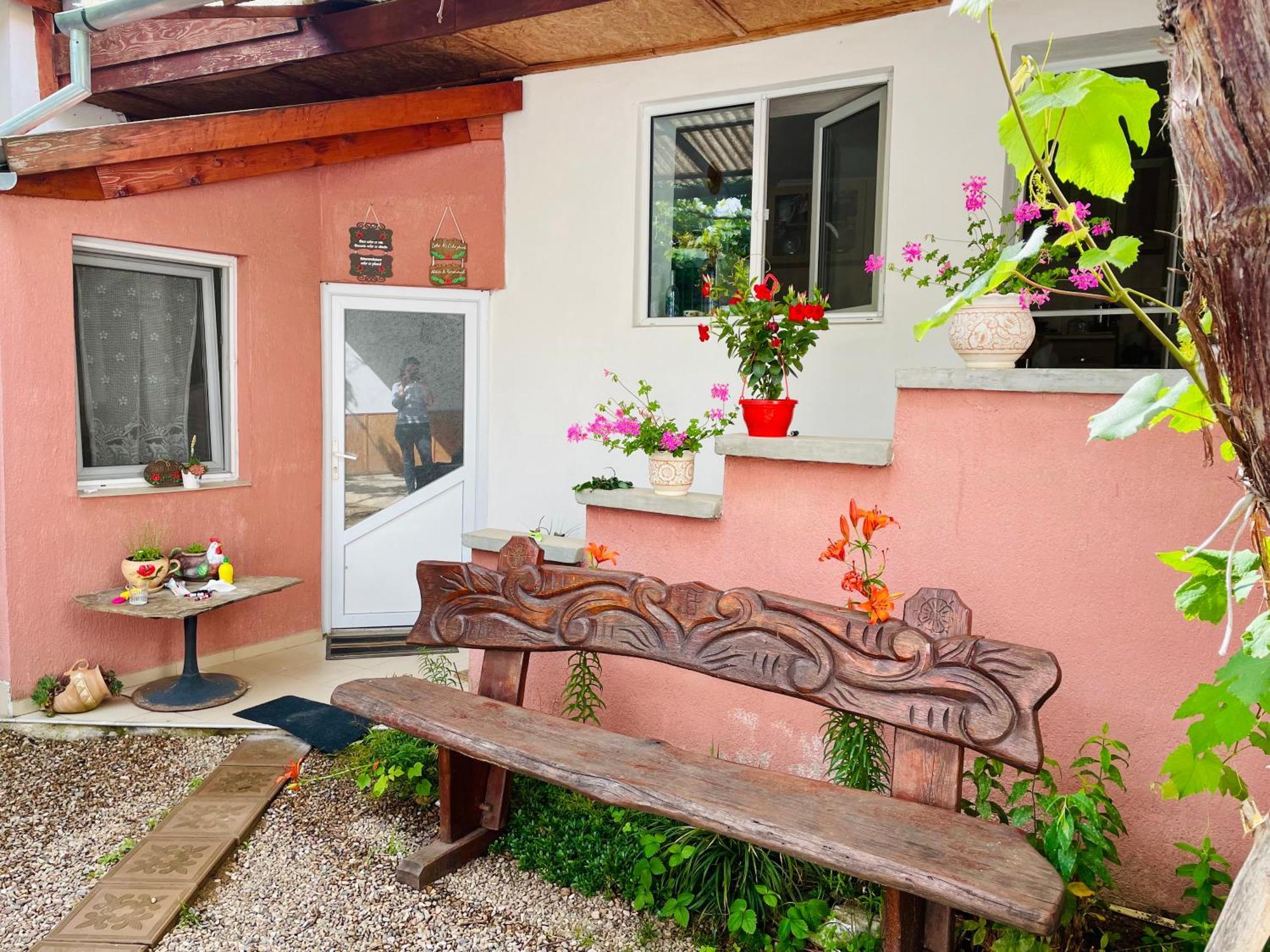 Bed and Breakfast Balla House Tărcaia Exterior foto